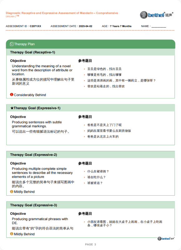 DREAM-S Assessment Report - Summary
