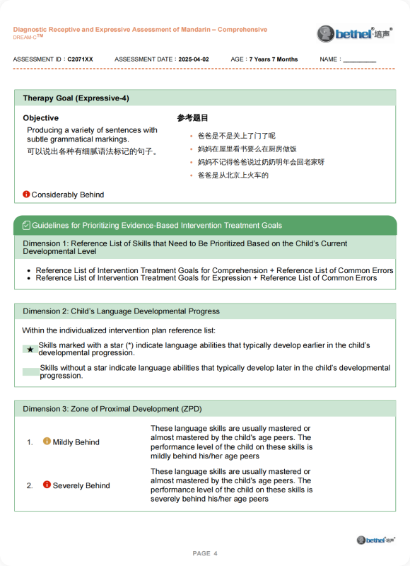 DREAM-S Assessment Report - Summary