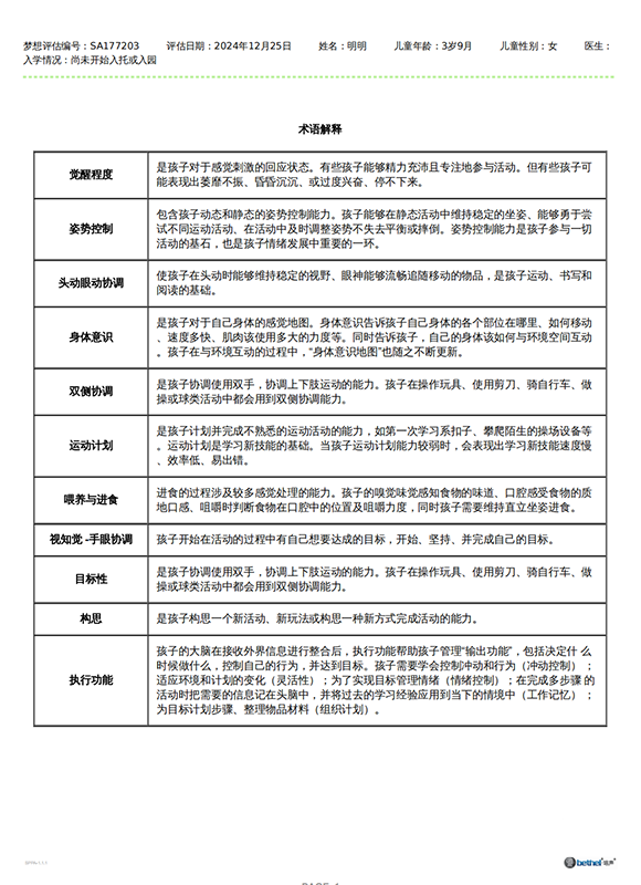 DREAM-S Assessment Report - Summary